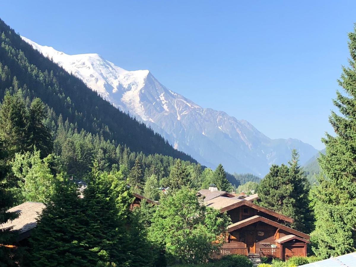Residence La Verte 24- Aux Pieds Des Pistes! Chamonix Luaran gambar